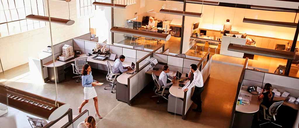 areas-funcionales-de-una-empresa-claves-para-su-exito